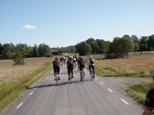 P9120187.jpg ht=480