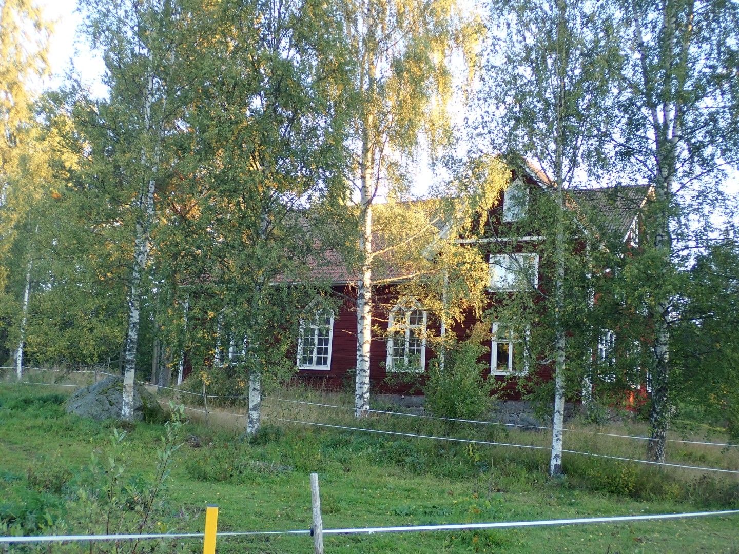 P9133422 (Large).jpeg