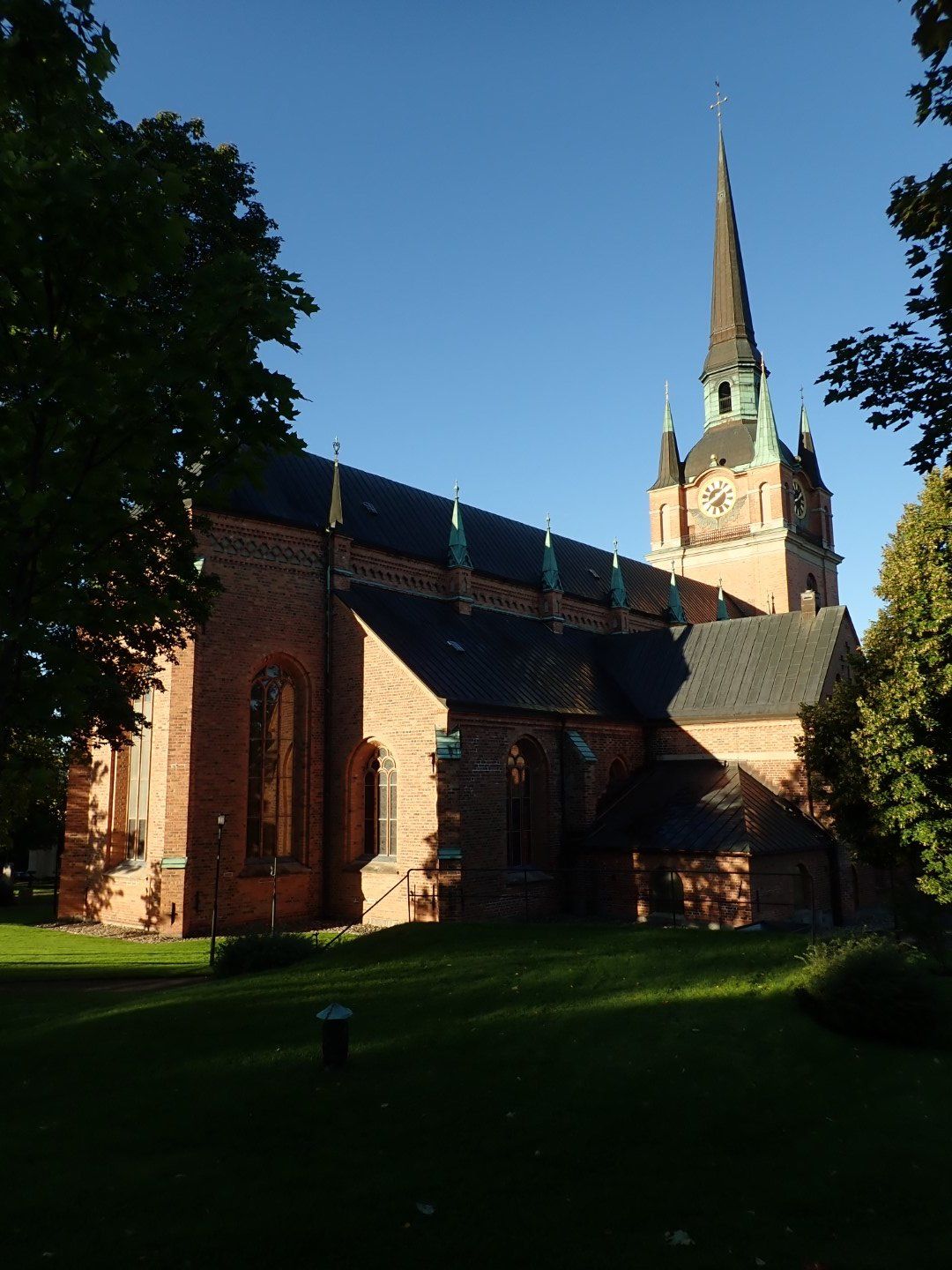 P9133429 (Large).jpeg