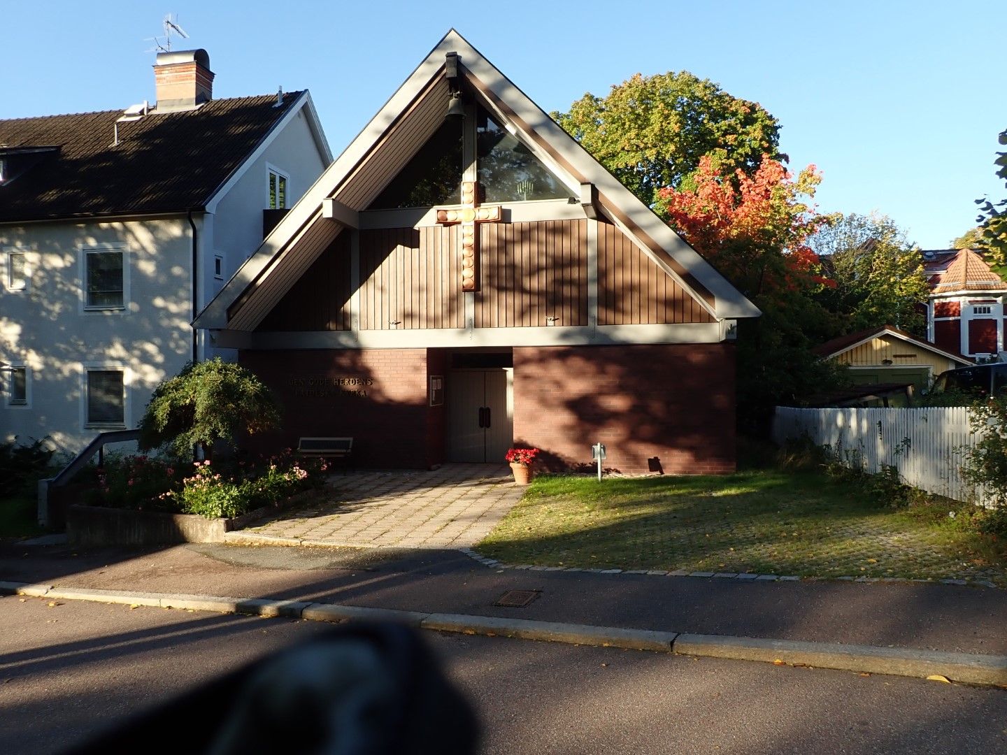 P9133431 (Large).jpeg