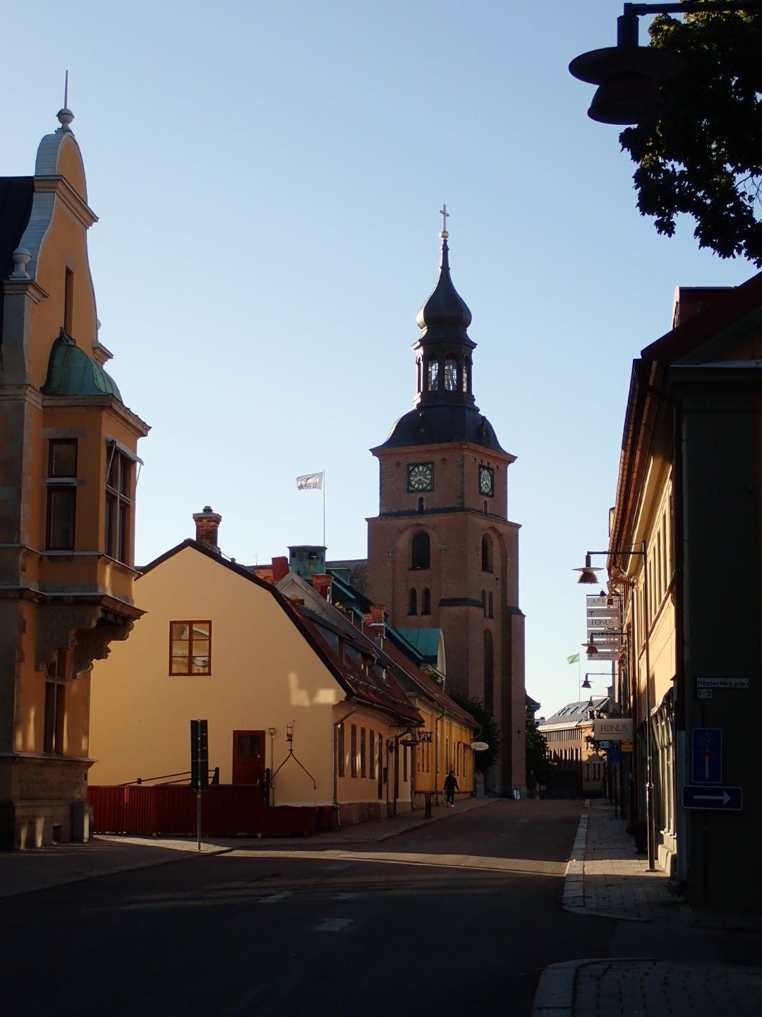 P9133435 (Large).jpeg
