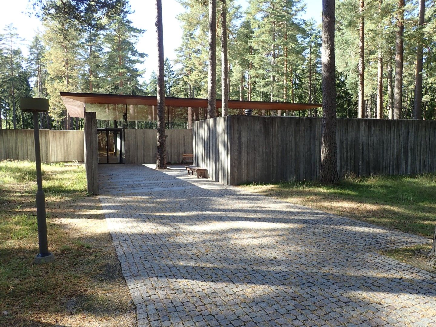 P9133463 (Large).jpeg