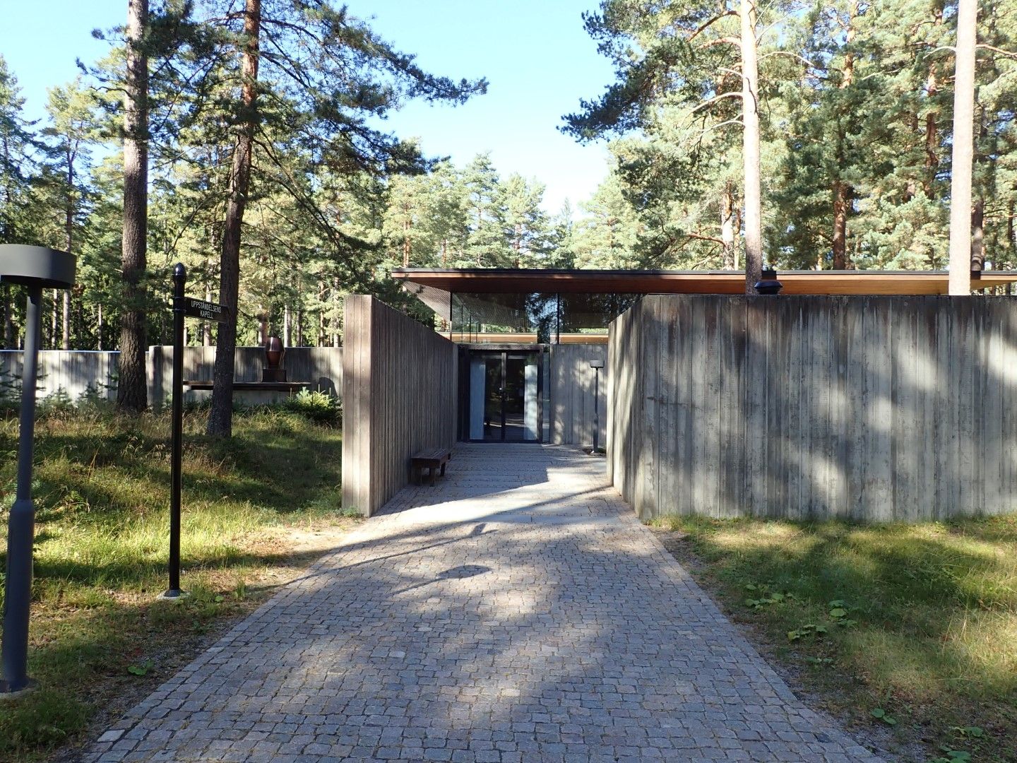 P9133464 (Large).jpeg