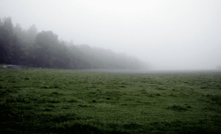 P9231694-725x439.png ht=439