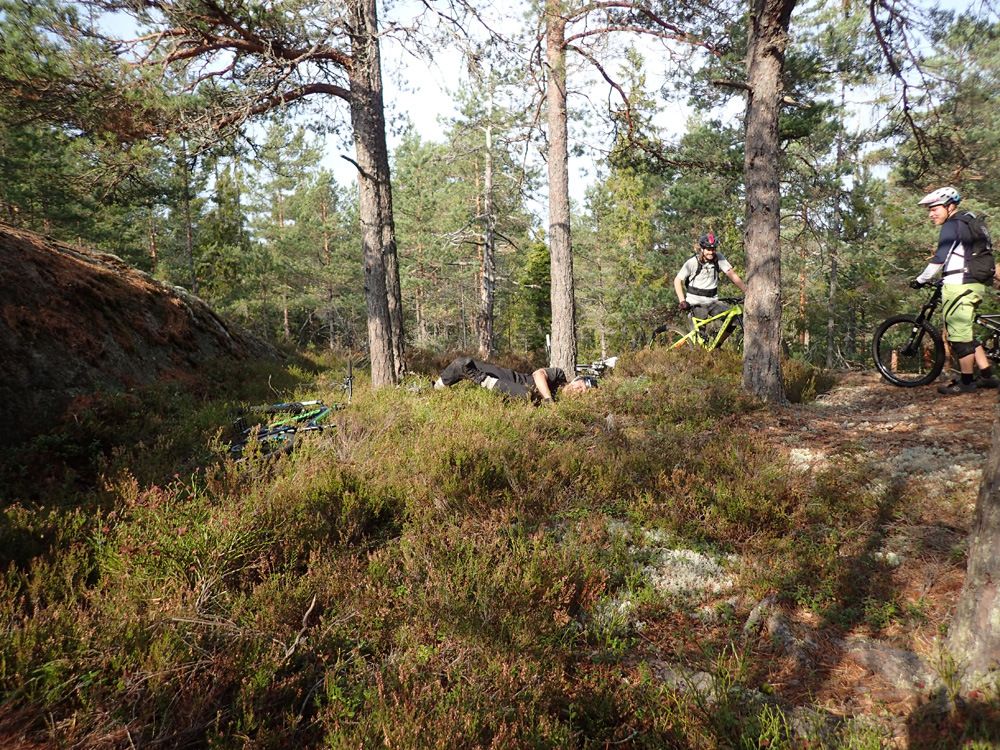 P9250454.jpg