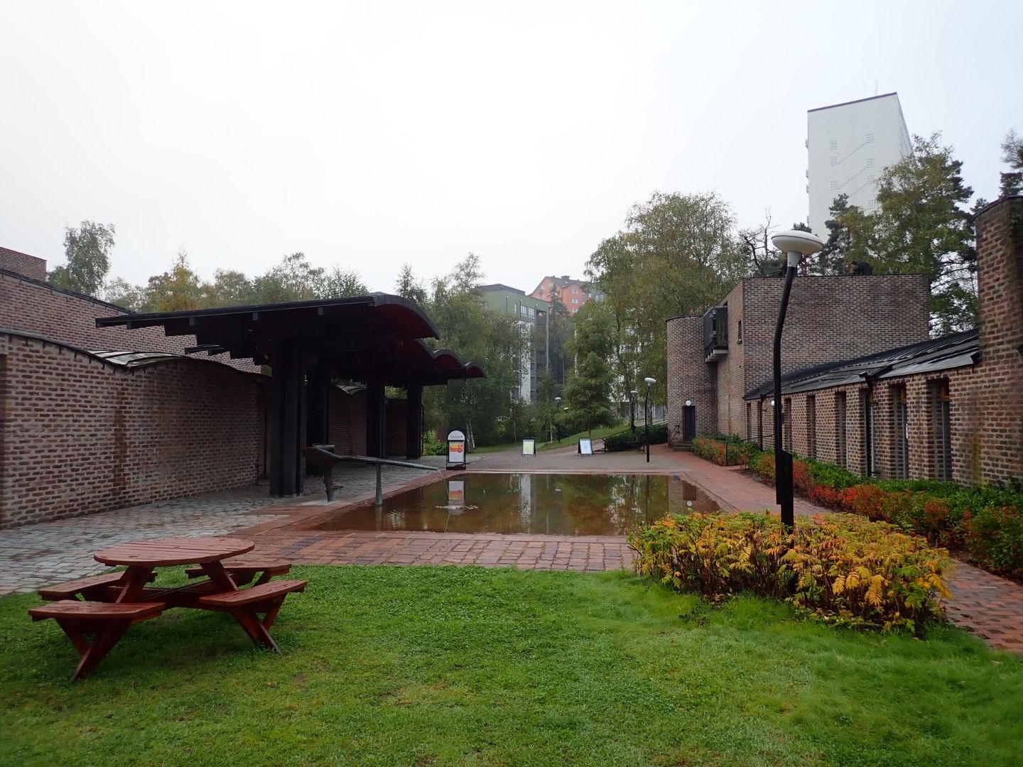 P9273666 (Large).jpeg