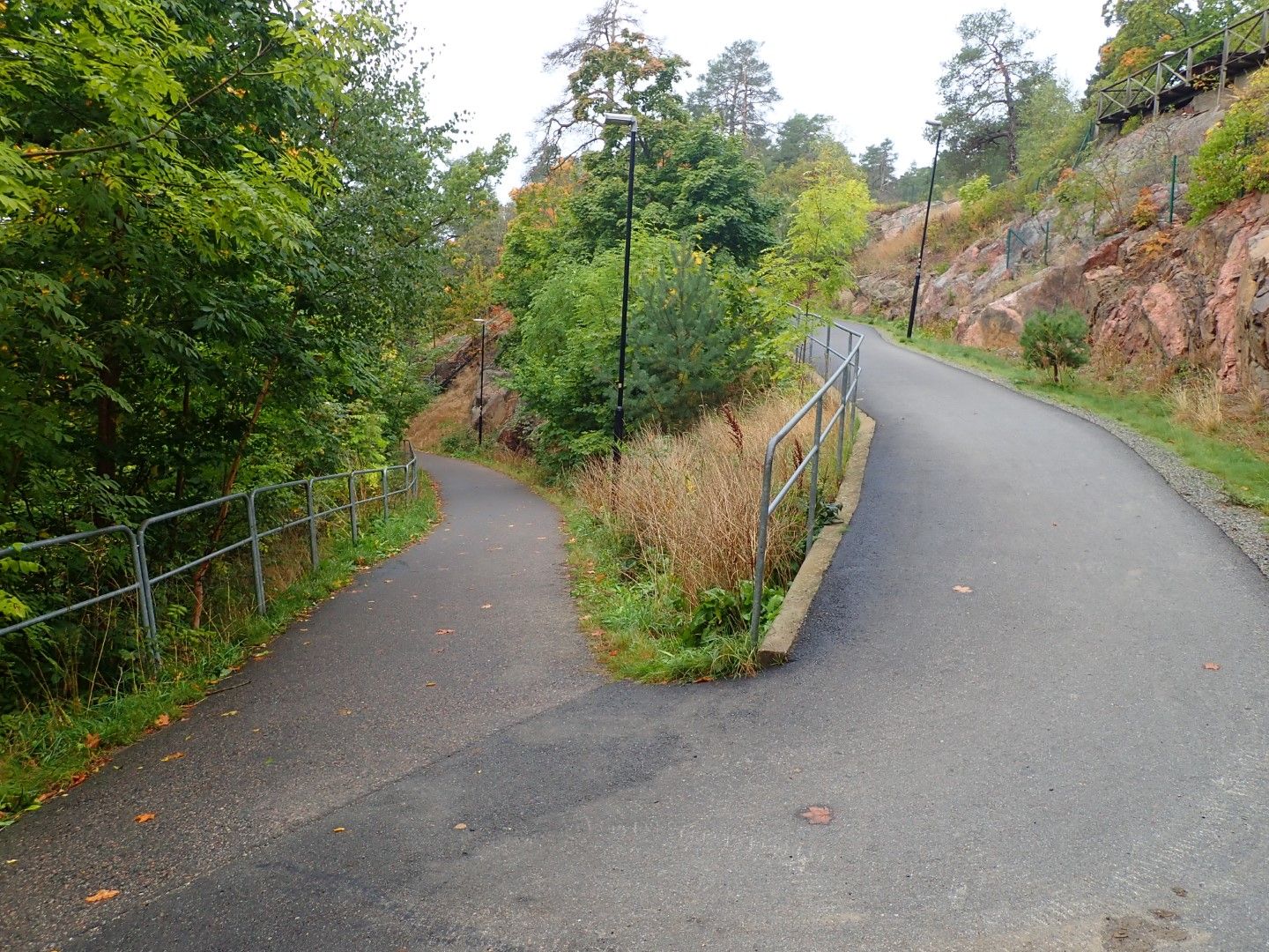 P9273672 (Large).jpeg