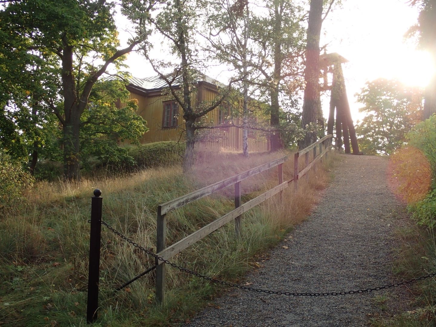 P9273676 (Large).jpeg
