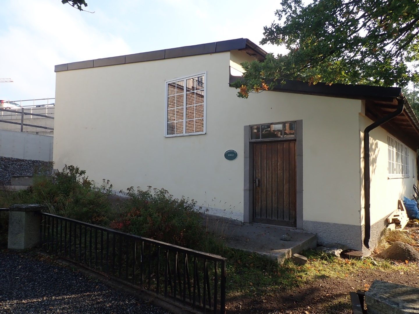 P9273684 (Large).jpeg