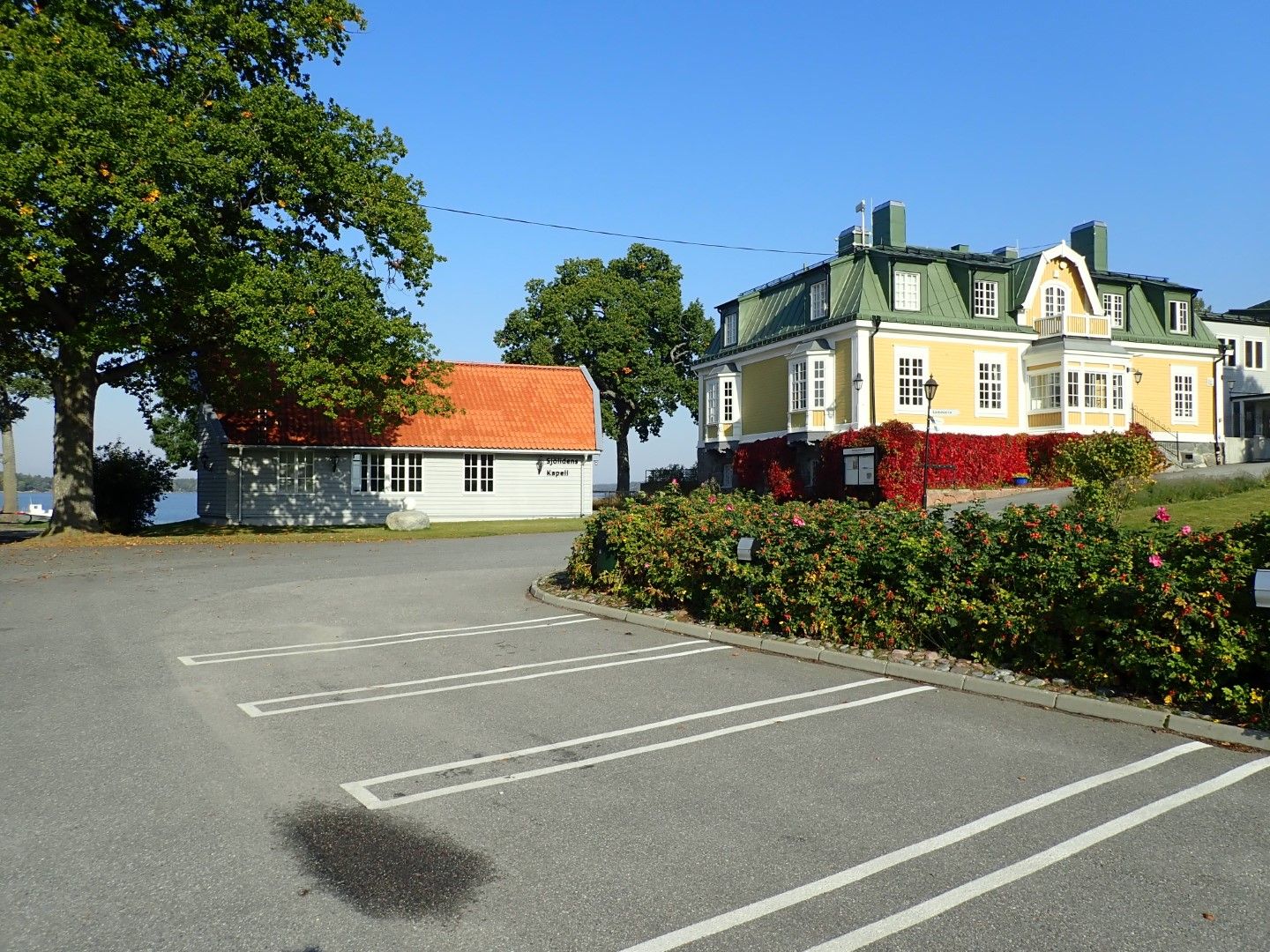 P9273695 (Large).jpeg