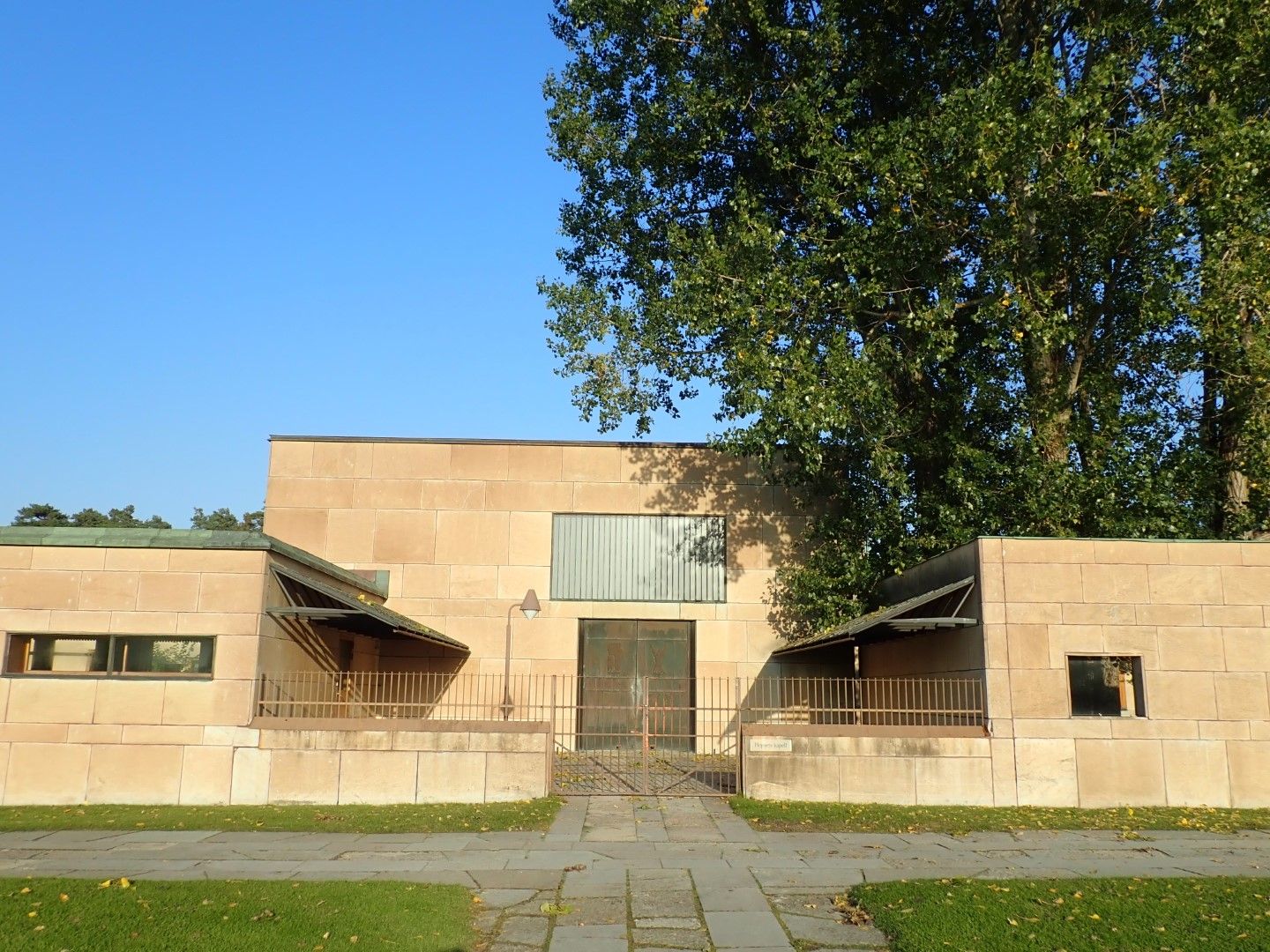P9273739 (Large).jpeg