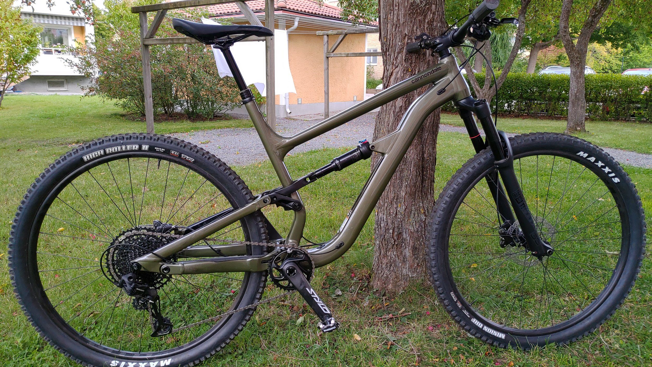P_20200911_172321.jpg