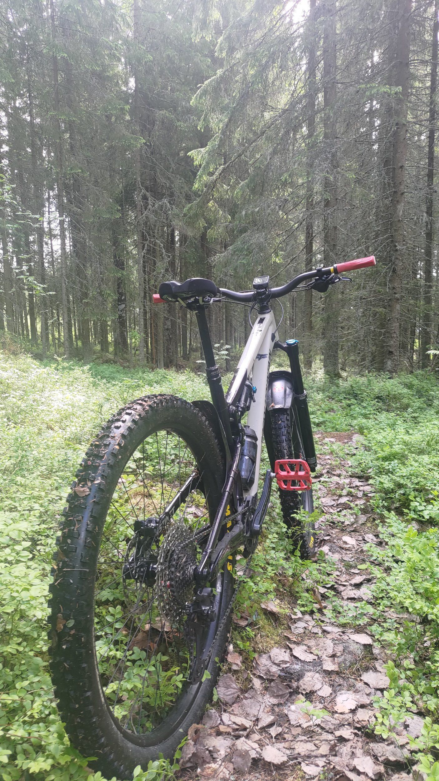 P_20220610_145344.jpg