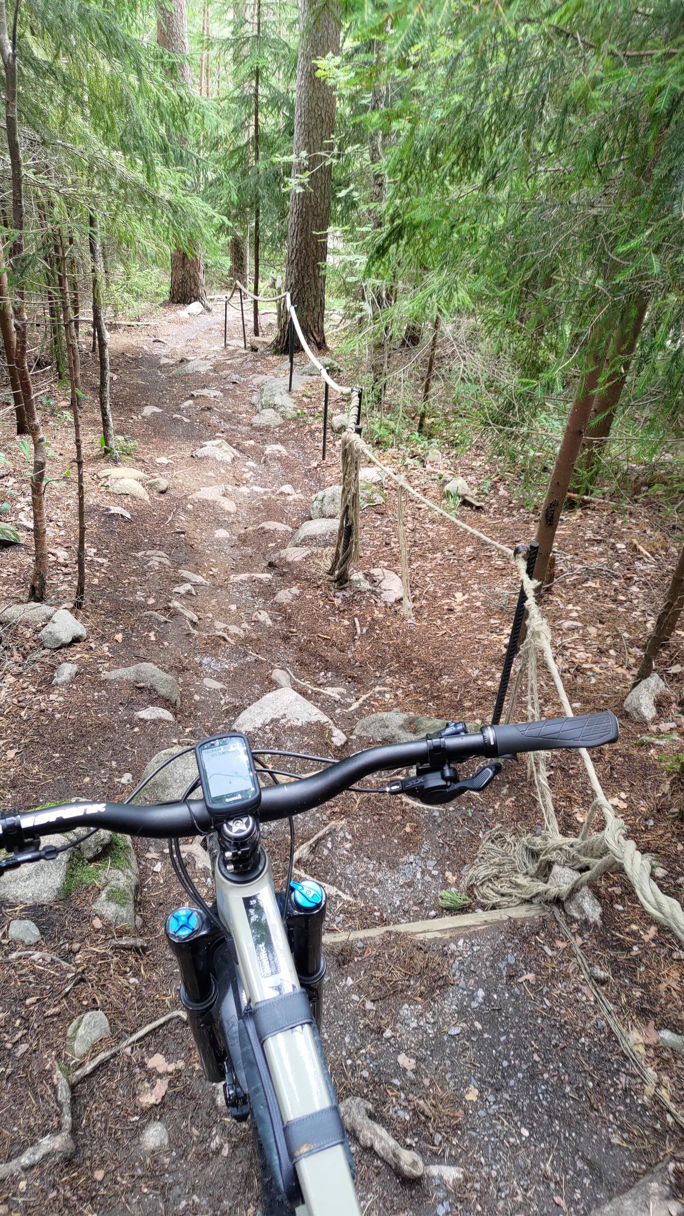 P_20220714_153916.jpg
