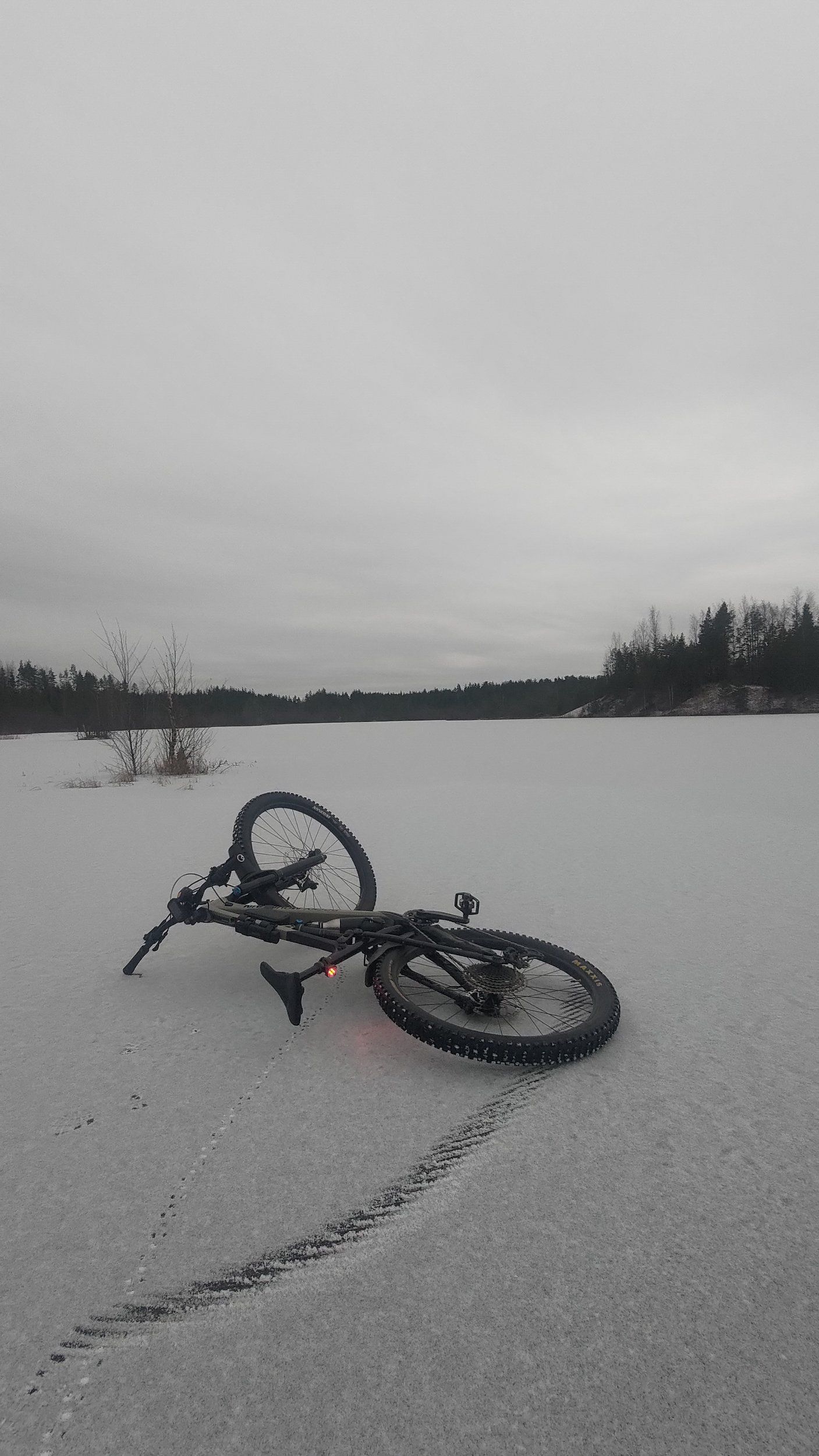 P_20221127_151347.jpg