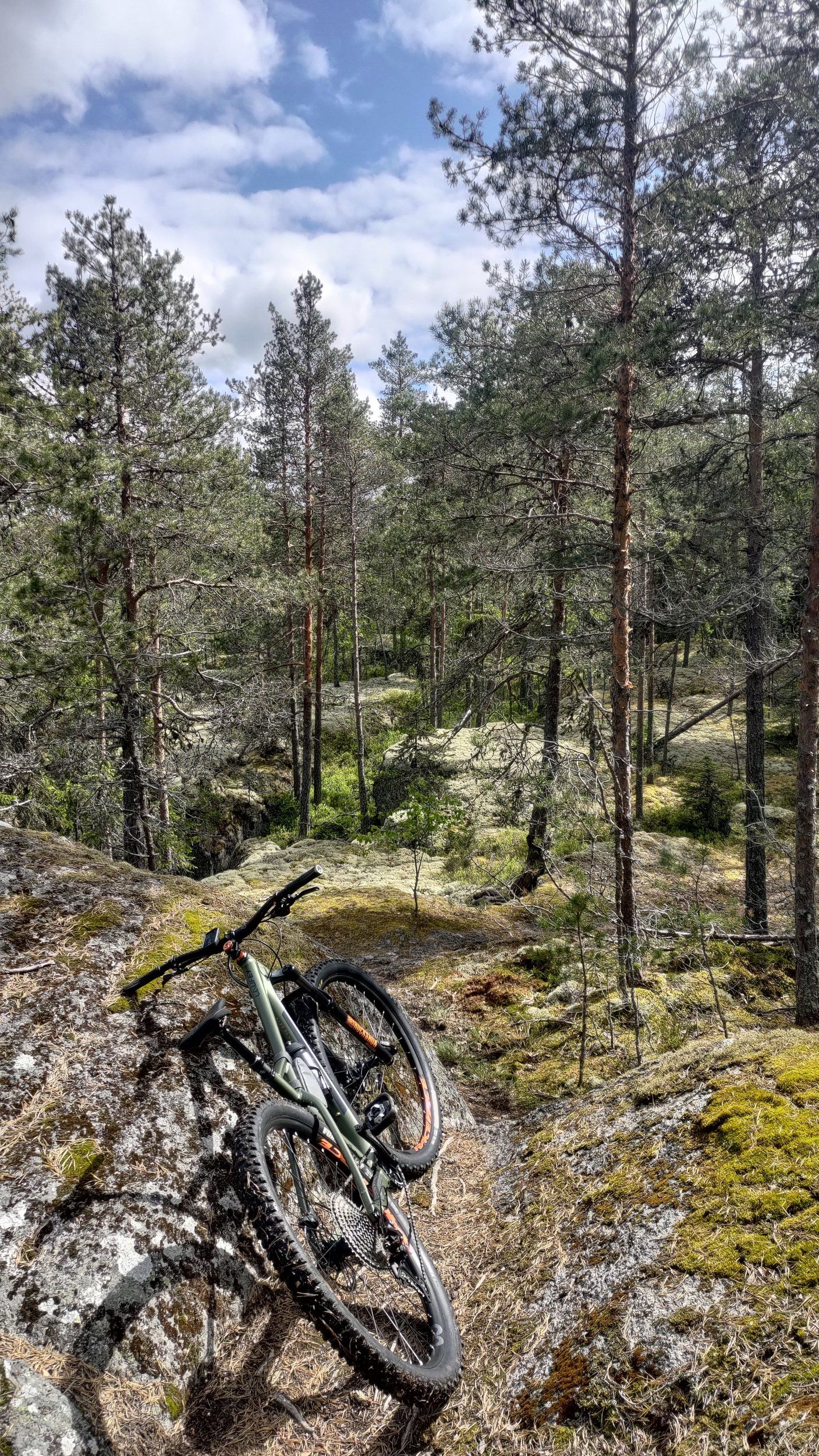 P_20230602_151555.jpg