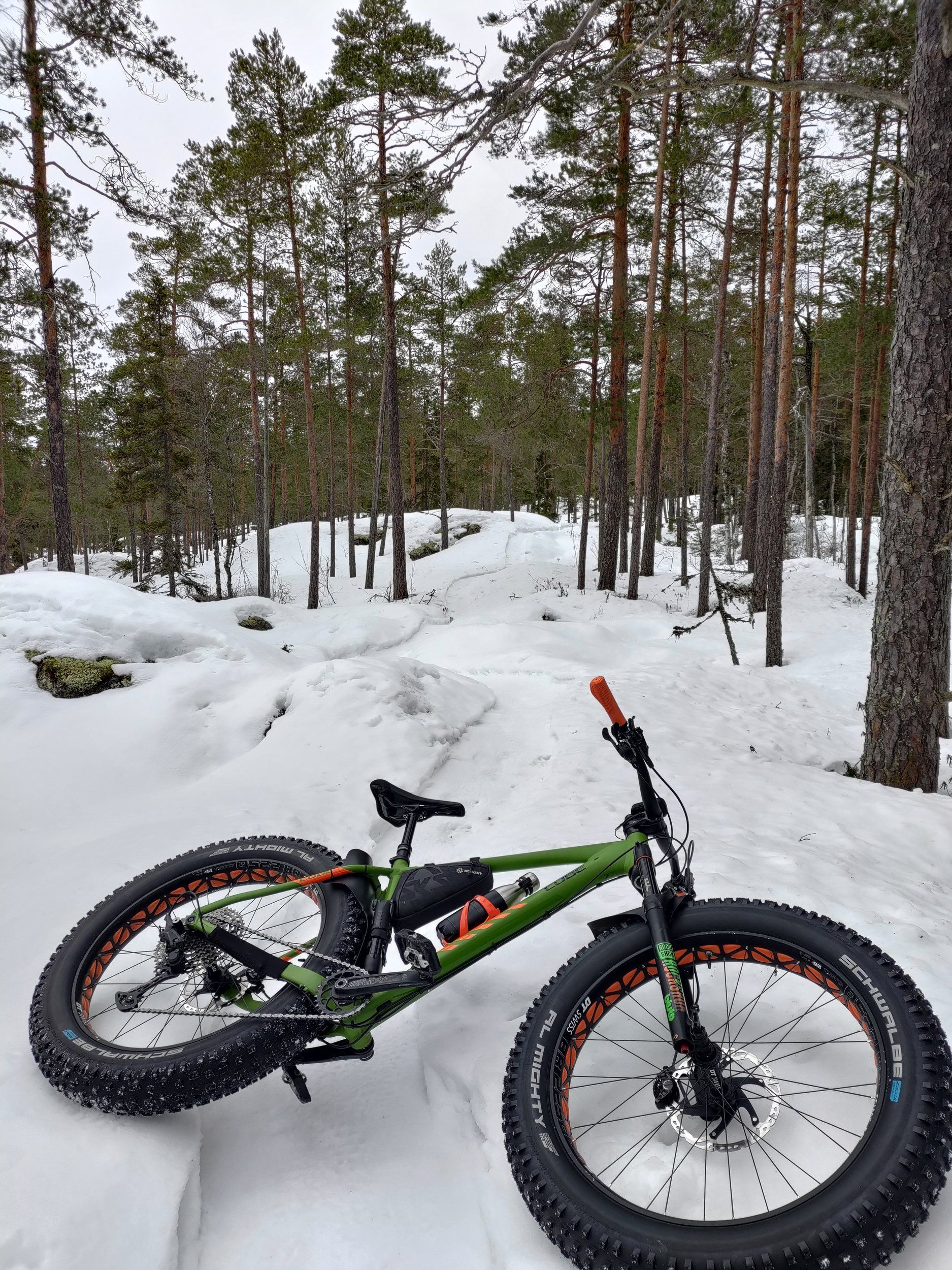 P_20240308_154700.jpg