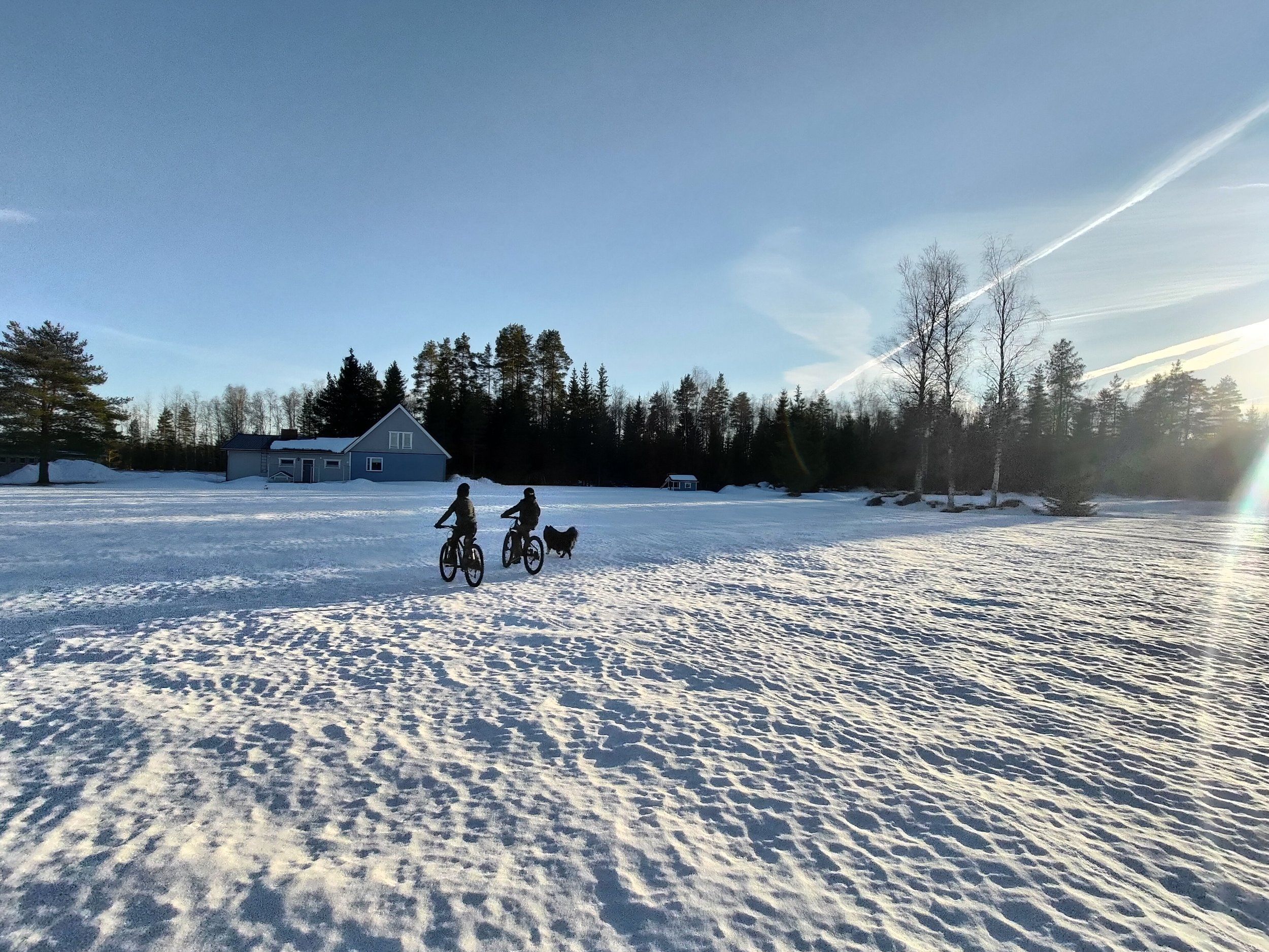 P_20240309_165417.jpg