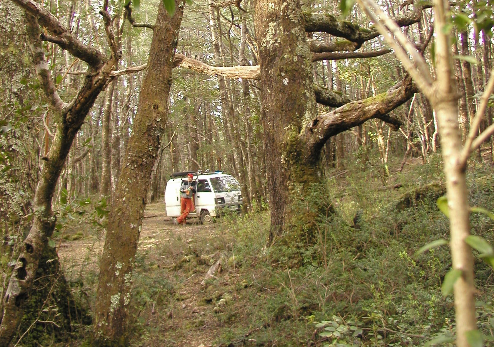 PA020109 (kopia).JPG