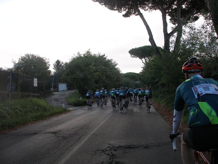 PA110049.JPG