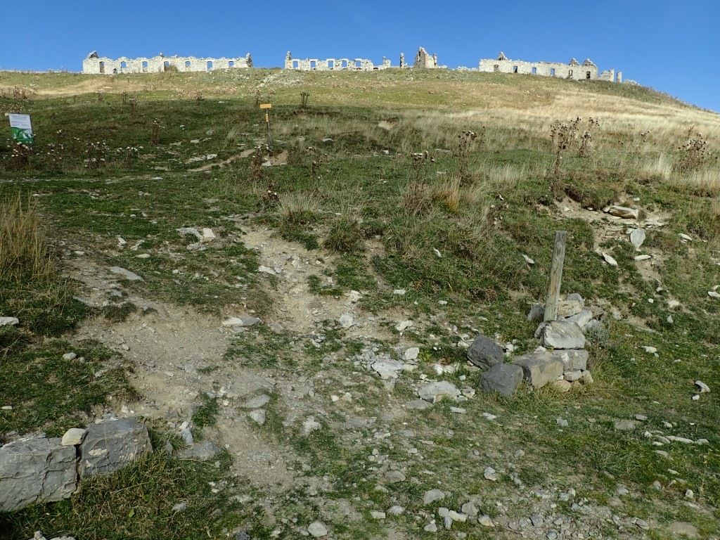 PA110341Medium.jpeg