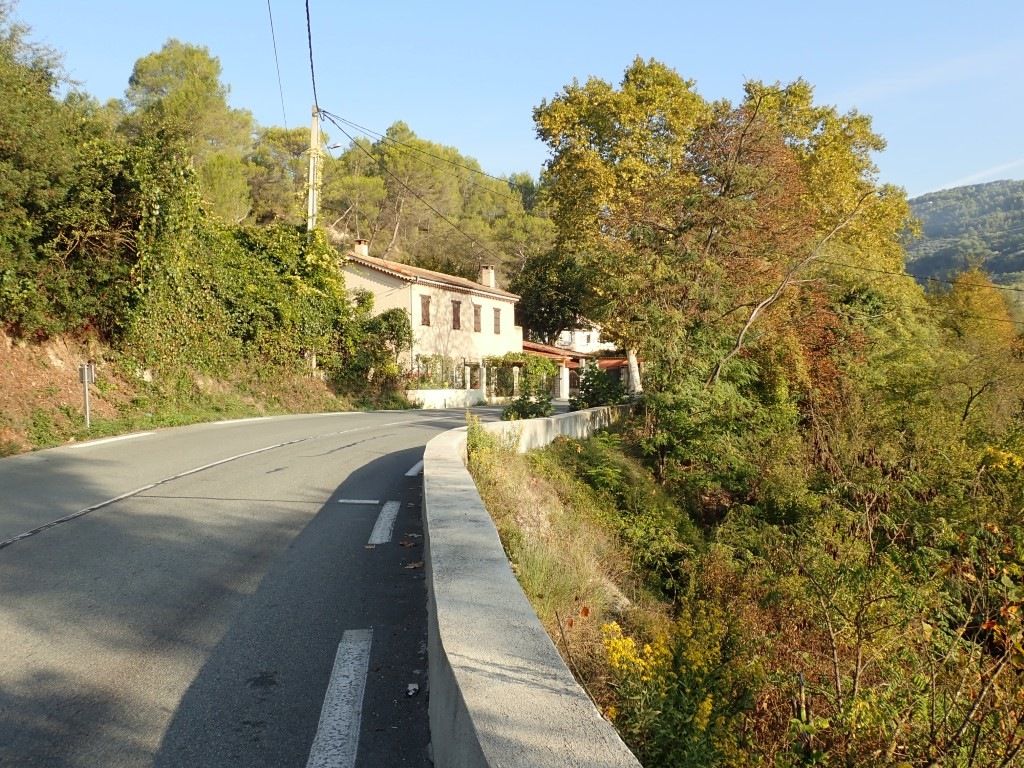 PA120378Medium.jpeg