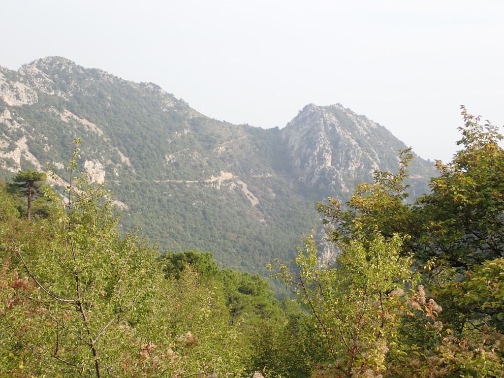PA120429Medium.jpeg