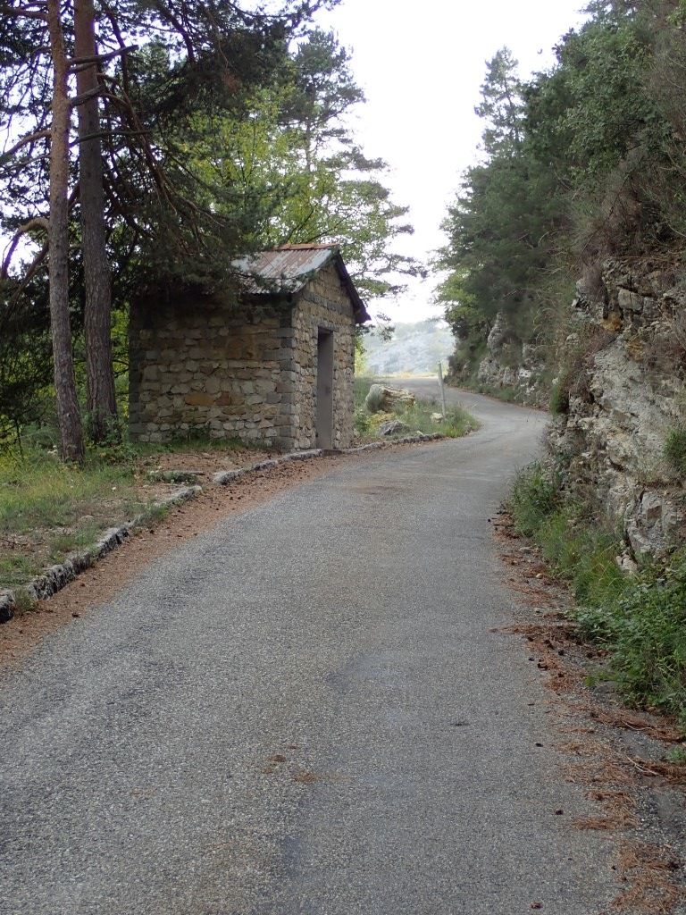 PA120431Medium.jpeg