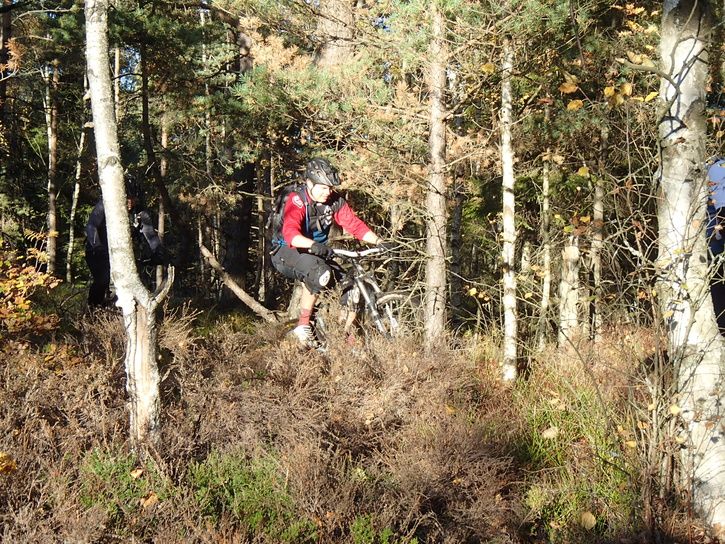 PA120439.JPG