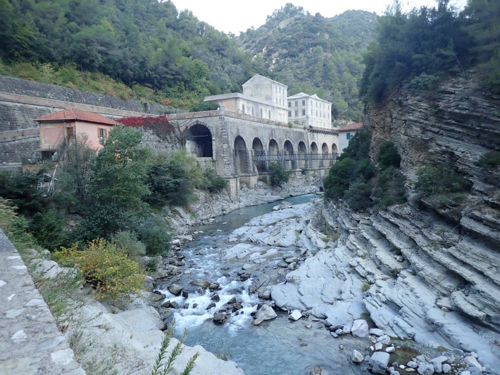 PA140501Medium.jpeg