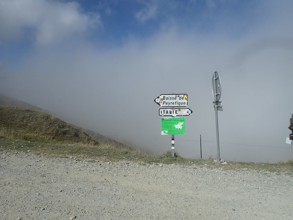 PA140549Medium.jpeg