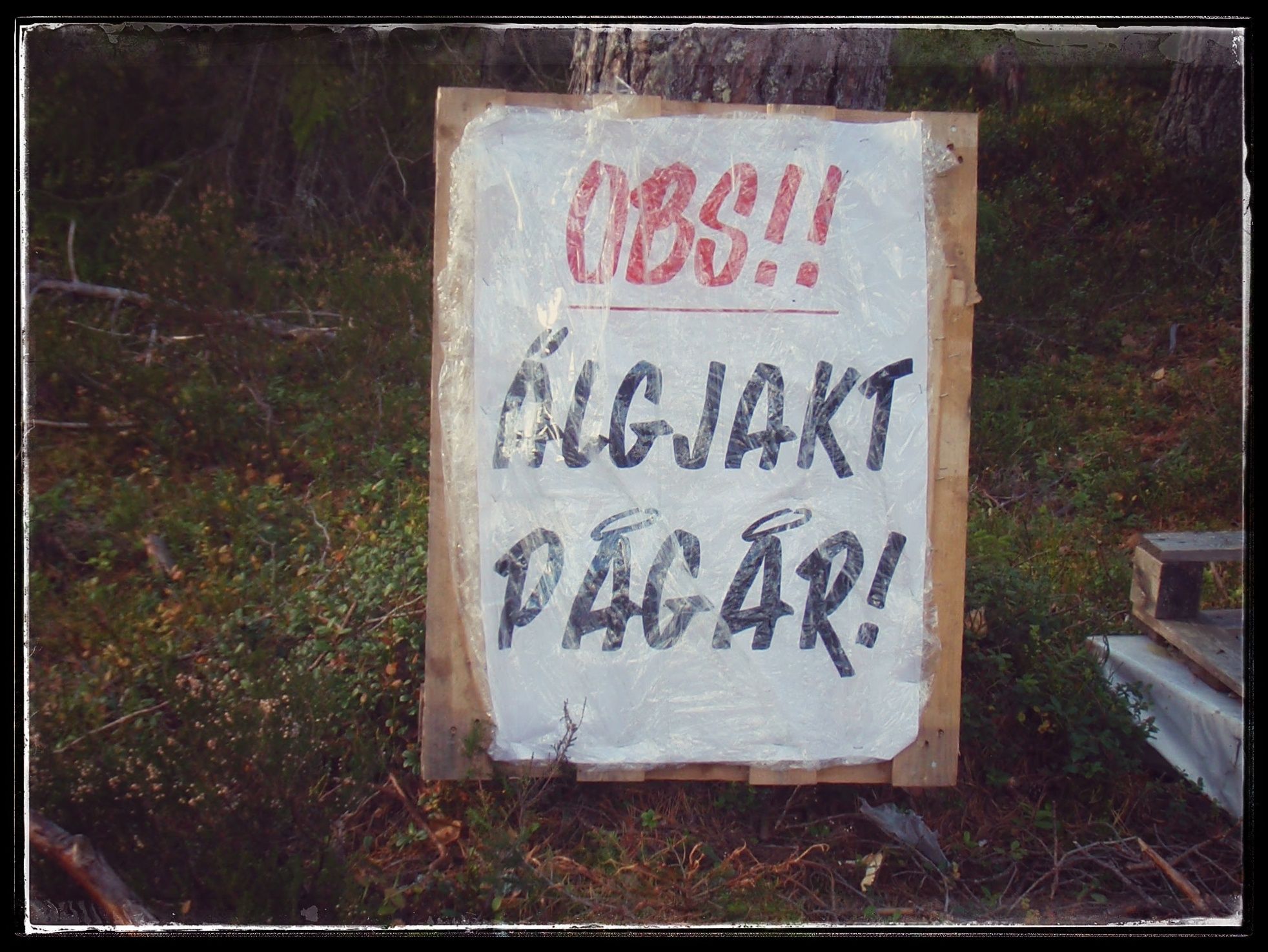 PA160042-01.jpeg