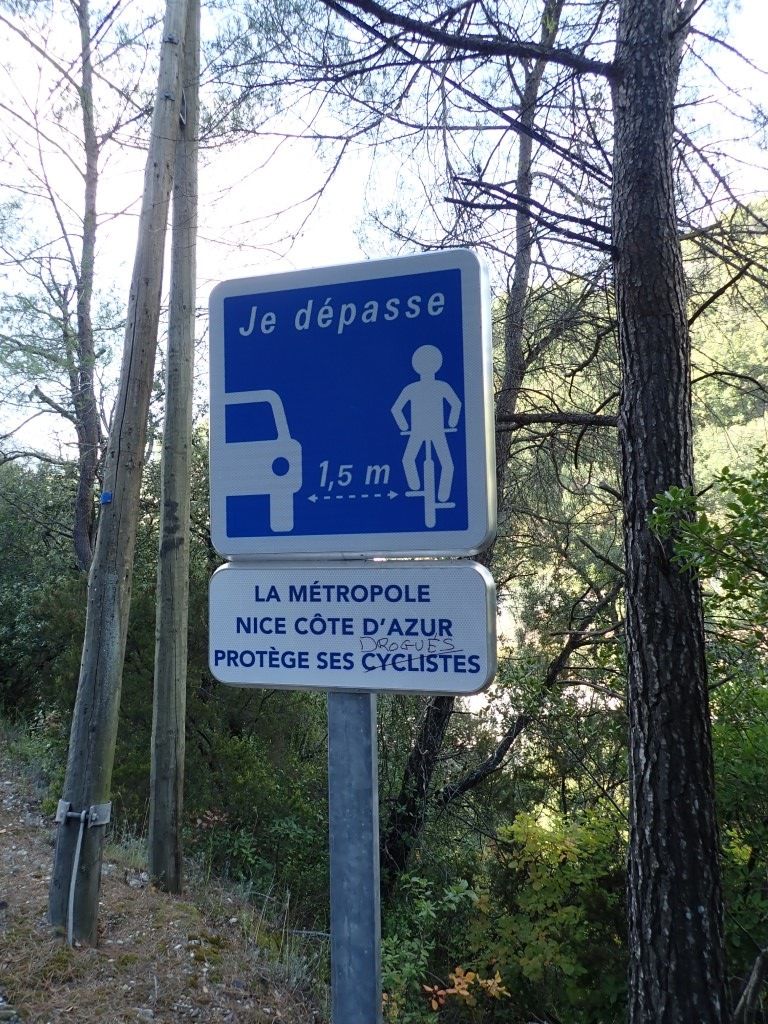 PA160744Medium.jpeg