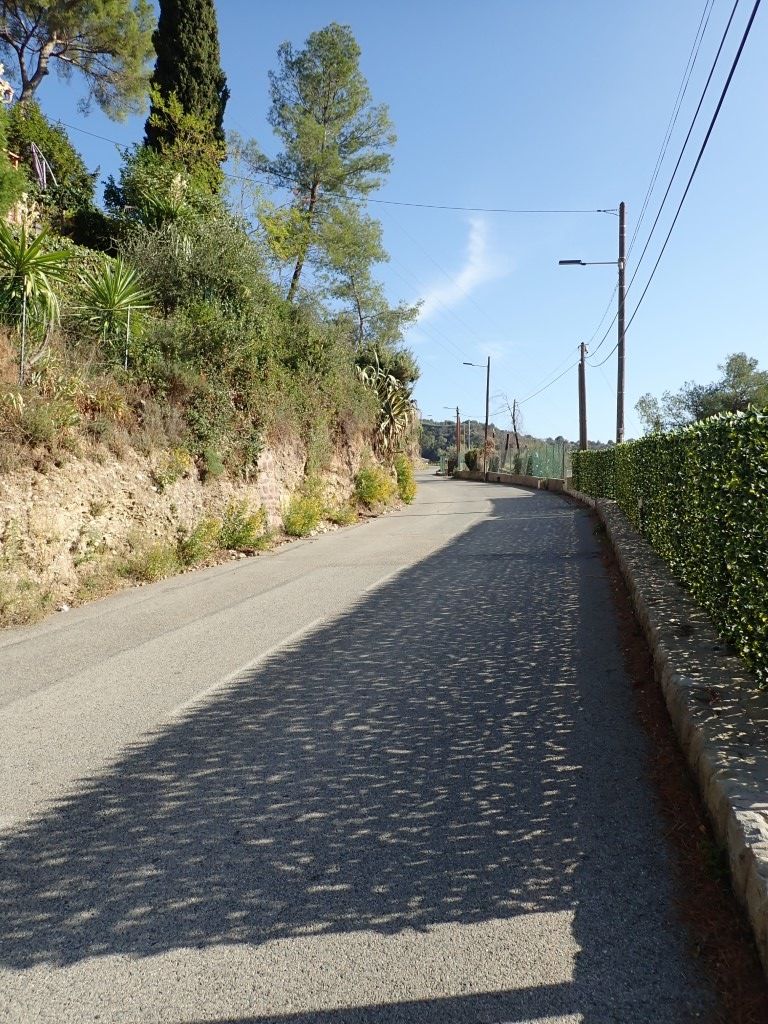 PA160746Medium.jpeg