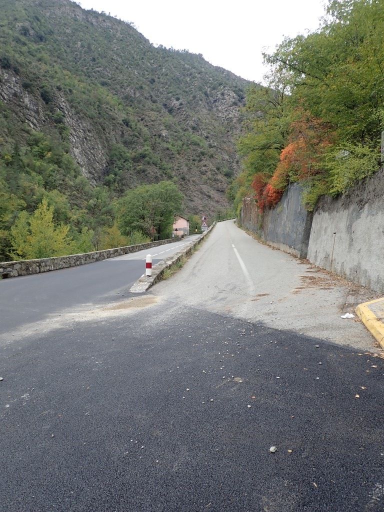 PA170771Medium.jpeg