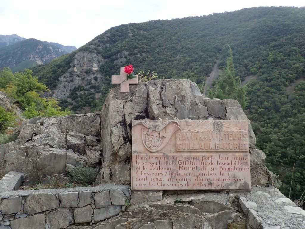 PA170776Medium.jpeg