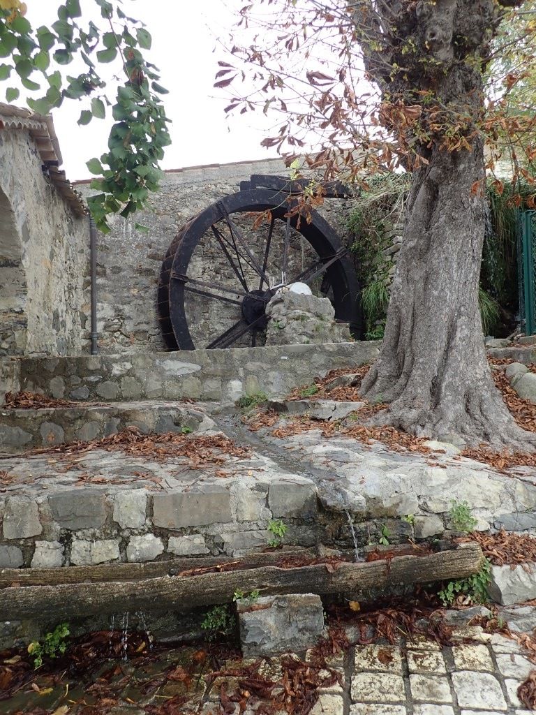 PA170783Medium.jpeg