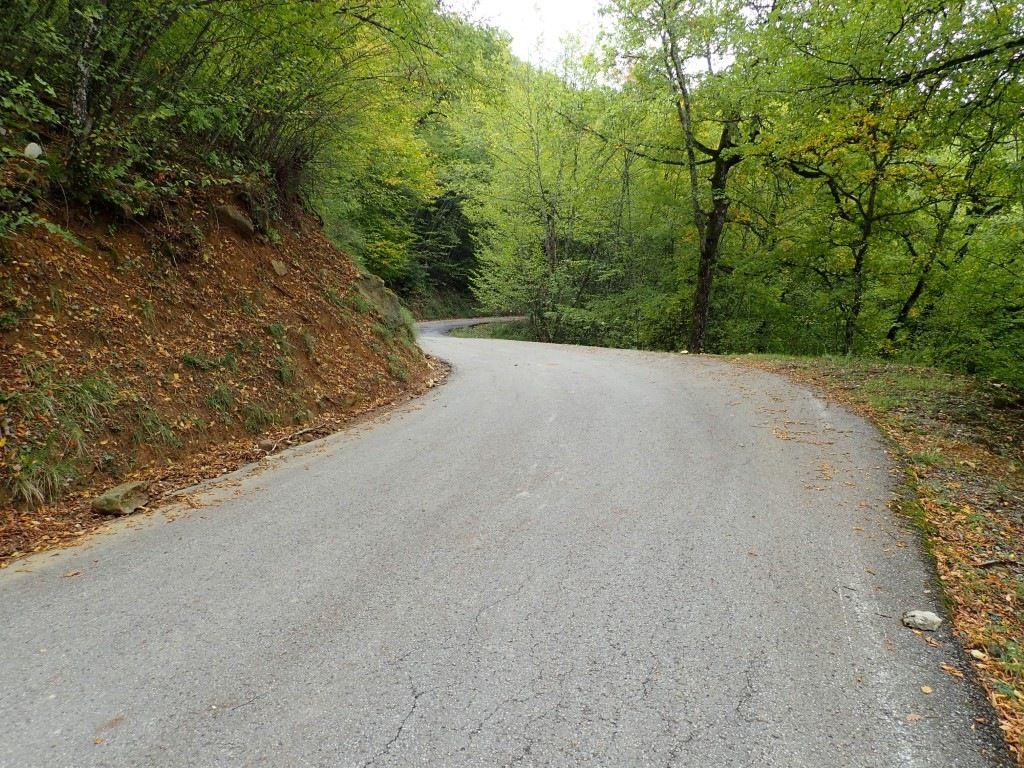 PA170786Medium.jpeg