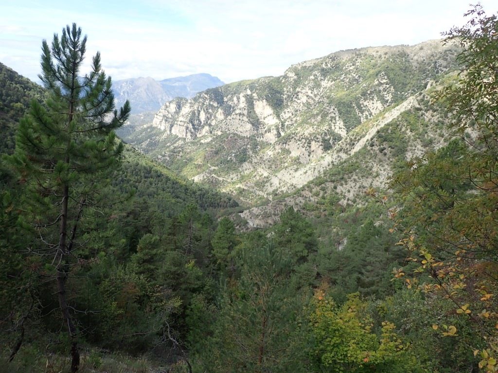 PA170792Medium.jpeg