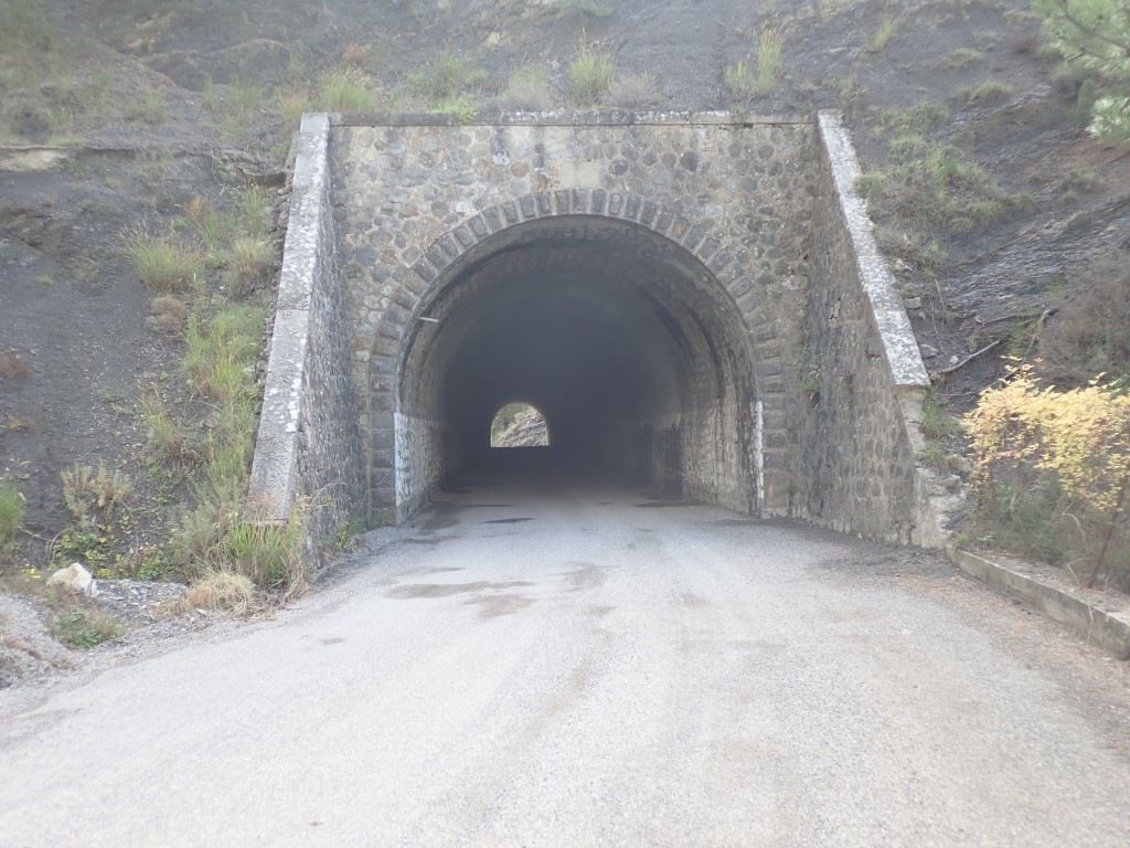 PA170795Medium.jpeg