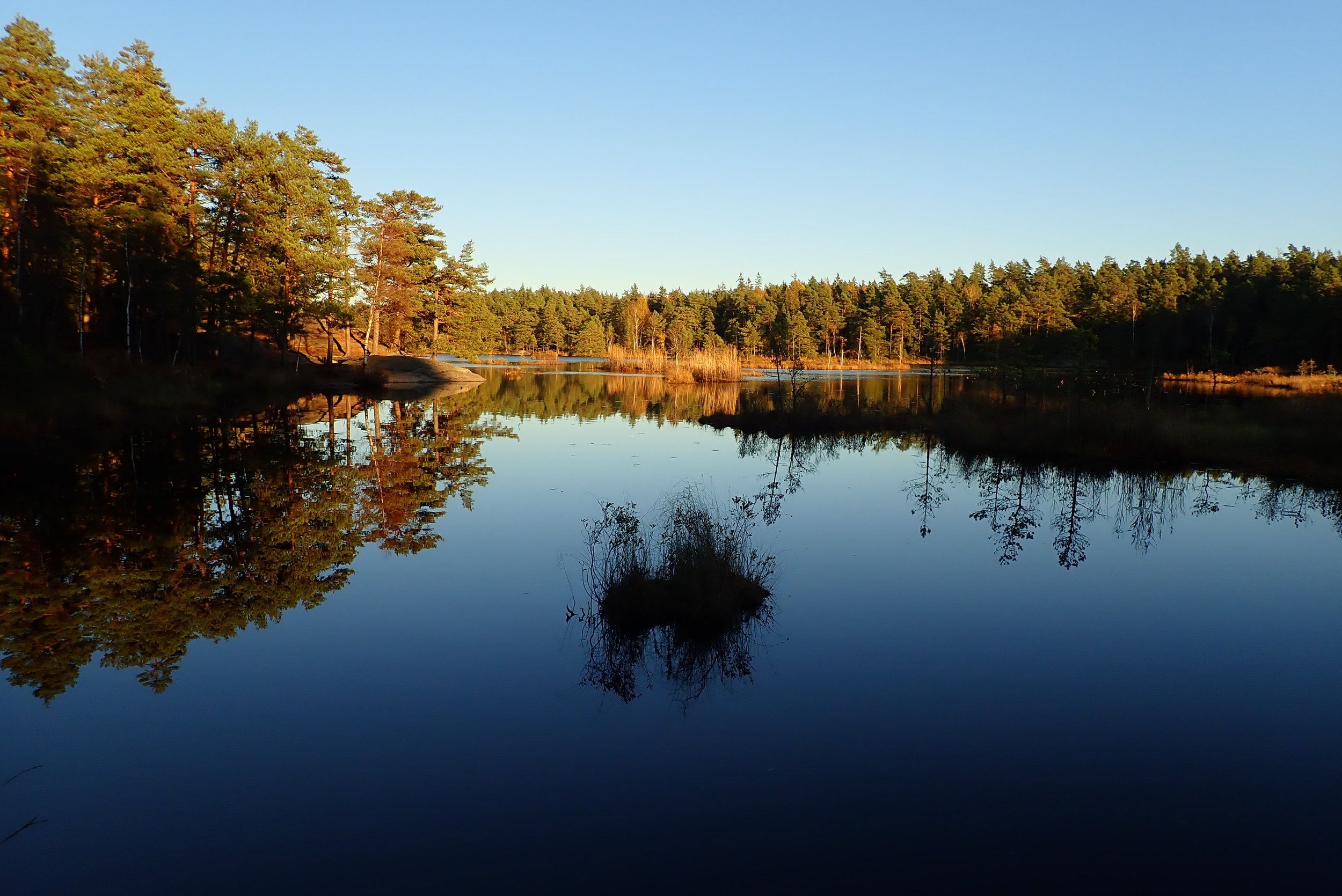 PA173126.JPG