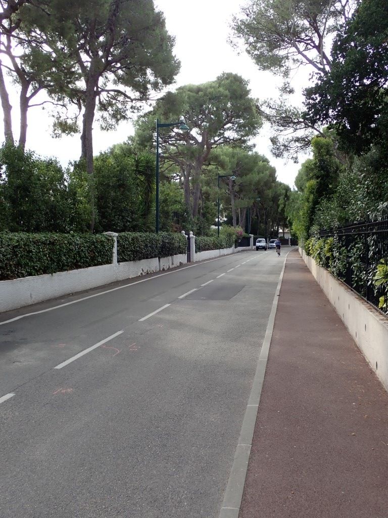 PA180838Medium.jpeg