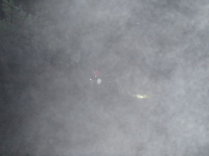 PA230001.JPG