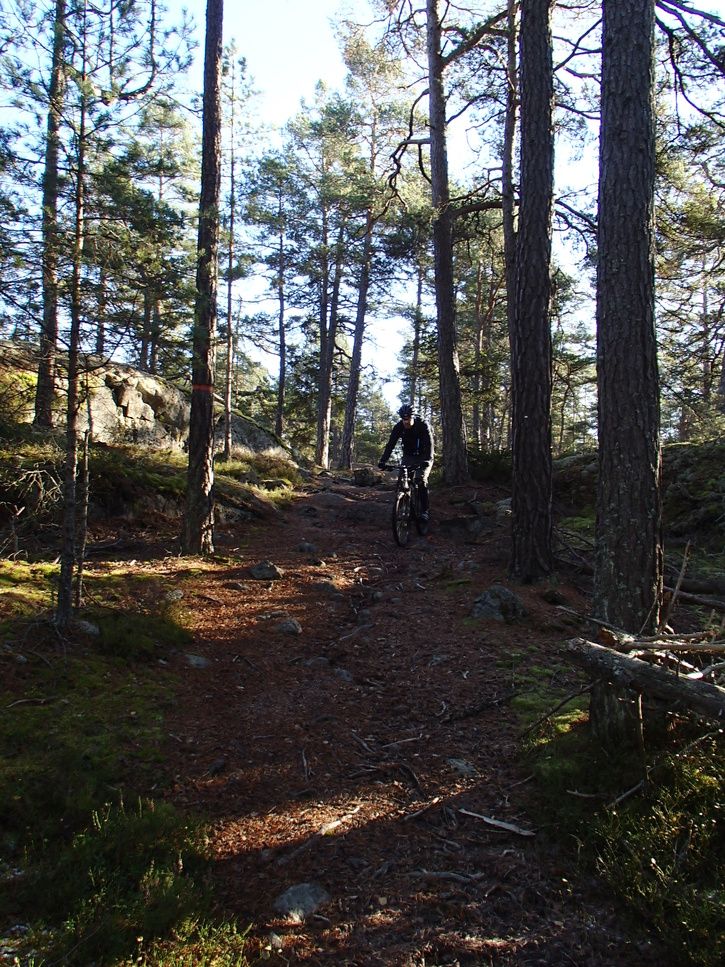 PA280009.JPG
