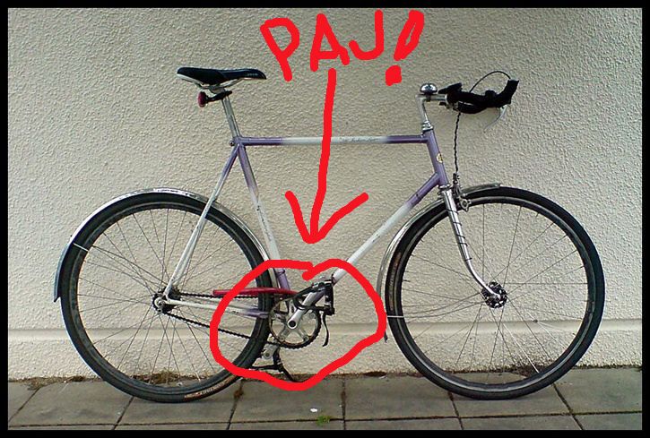 paj.jpg ht=489
