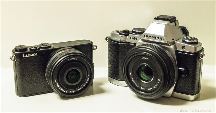 PanasonicGM1vsOlympusE-M5500px.jpg