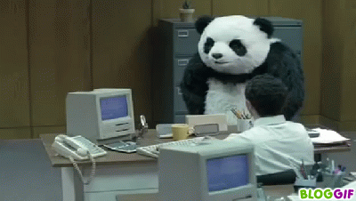 Panda-gif.gif