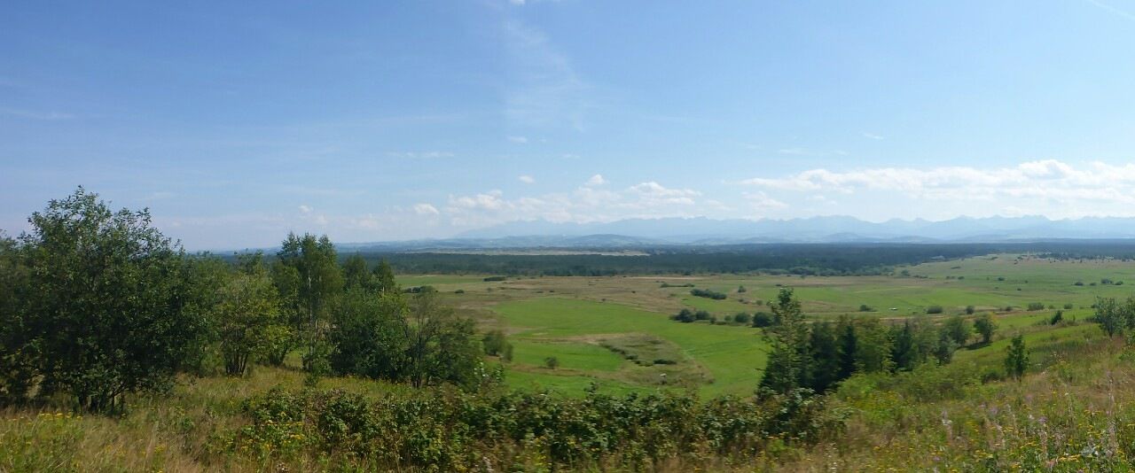 panorama.JPG