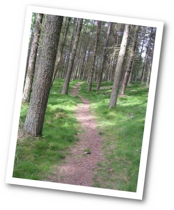 path2.jpg ht=702