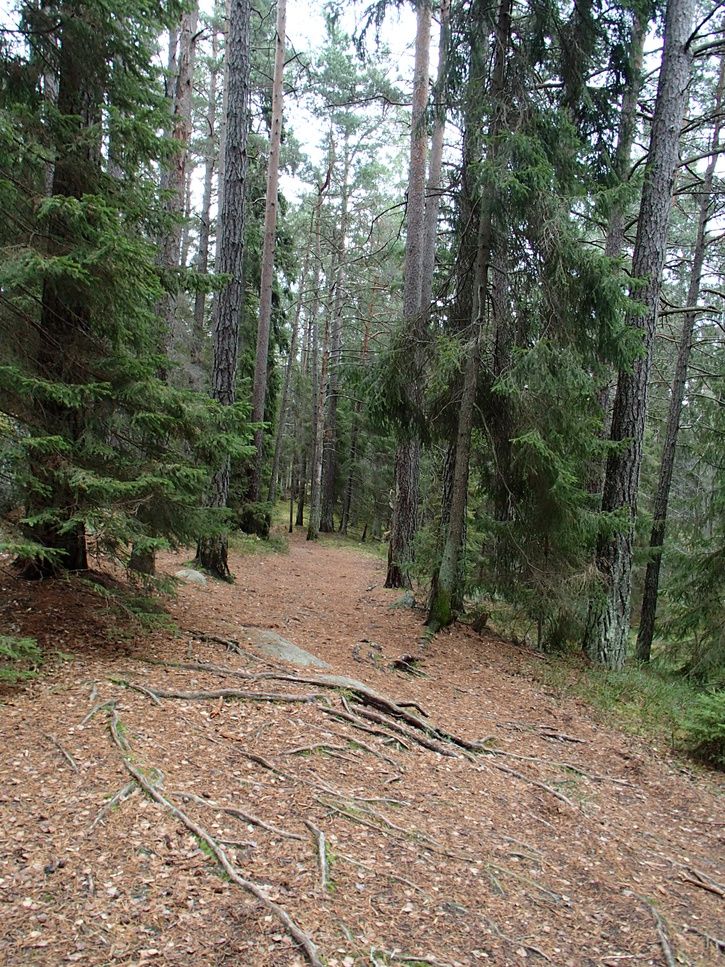 PB010015.JPG